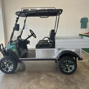 2024 Evolution Electric Vehicles Turfman 800