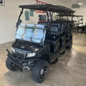 2024 Evolution Electric Vehicles D5-Maverick 6