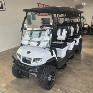 2024 Evolution Electric Vehicles D5-Maverick 6