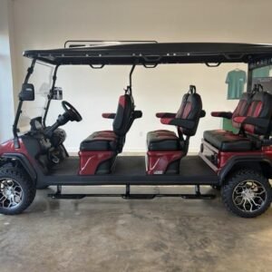 2023 Evolution Electric Vehicles D5-Maverick 6