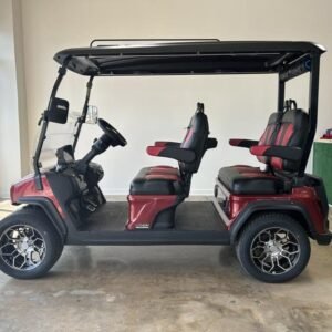 2024 Evolution Electric Vehicles D5-Ranger 4