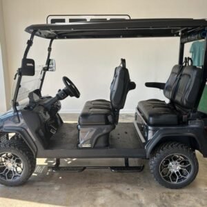 2024 Evolution Electric Vehicles D5-Maverick 4